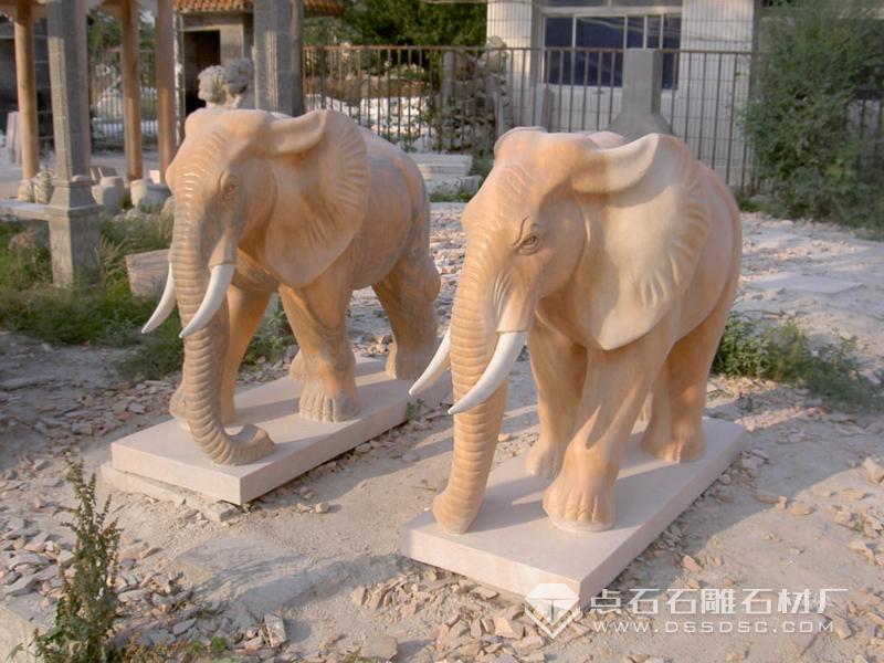 ʯµñ´óÏó ʯµñ´óÏó