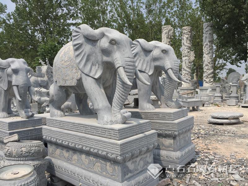 Çàʯ´óÏó Çàʯ´óÏó